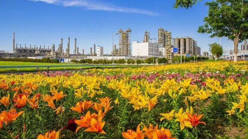 颜料分散剂：揭秘其重要性及选购要点