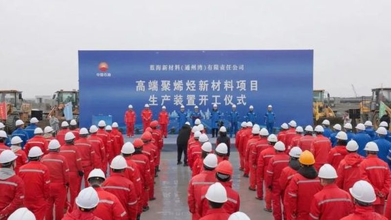 新型环保家装材料：价格背后的考量因素