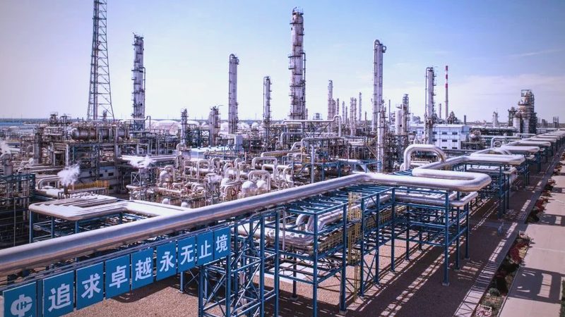 精细化工产品细分市场调研：案例分析及启示